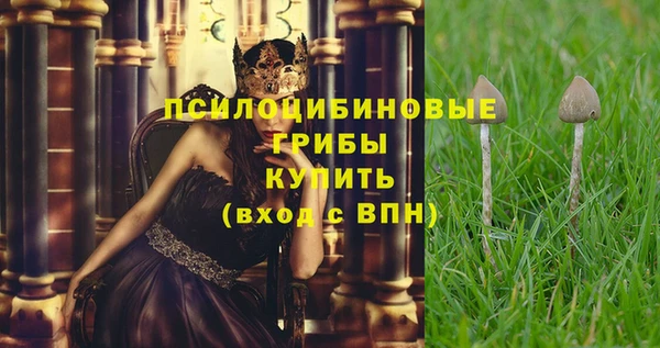 МДПВ Володарск