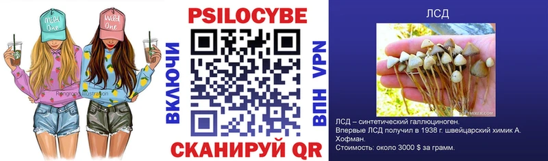 Галлюциногенные грибы GOLDEN TEACHER  Орехово-Зуево 